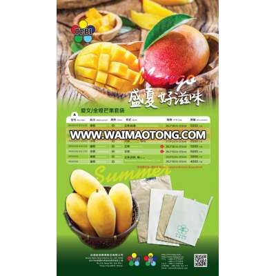 double layers waterproof mango cover cheap paper bag